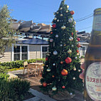 Sabatino's