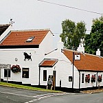 The Black Bull