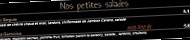 Pizzas et Petits Plats