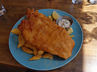 Fizz Fin