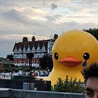 The Angel On The Bridge