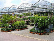 Tamar View Nurseries And Garden Centre