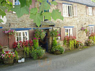 The Dolphin Inn