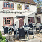 The Apple Tree