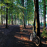 Waldgaststätte Hinnenwiese