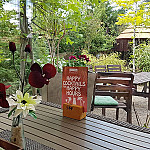 Olle Rheen