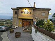 Amelibia