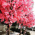 Asia World
