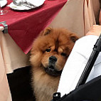 Piccobello