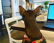 Tagesbar