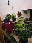 El Patio De Castro