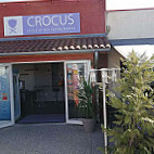 Crocus