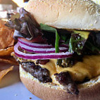 The Downward Dog Campus