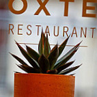 Oxte