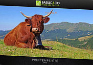 Basilic Co