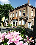 Zitronengras