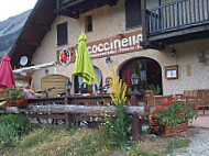 Coccinella
