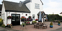 The Swan