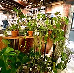 Horticulture Newcastle