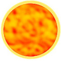 Le Rose`s Pizza Inh. Salvatore Lerose
