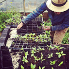 Briarpatch Food Co-op