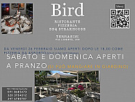Bird Garden