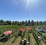 West Street Vineyard