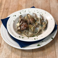 The Olive Tree Greek Grill Paoli
