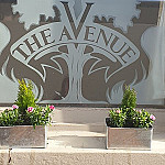 The Avenue