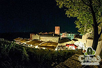 Cibus