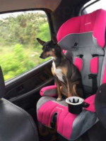 Heidi's Coffee Cabin