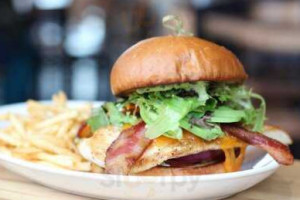 Urban Egg A Daytime Eatery