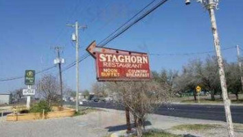 Staghorn