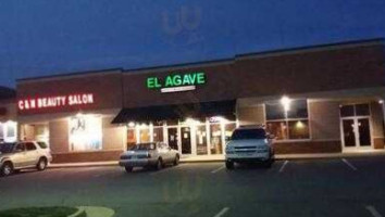 El Agave 4