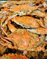 Captain Bob's Crabs