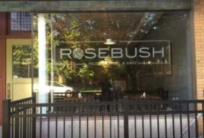 The Rosebush