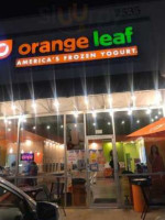 Orange Leaf
