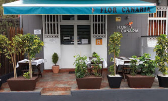 Flor Canaria