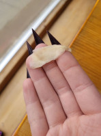 Arctic Sushi