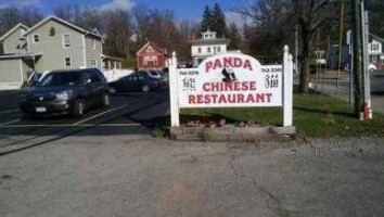 Panda Chinese