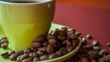 The Treehouse Coffee Shop