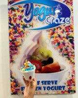 Yogurt Craze