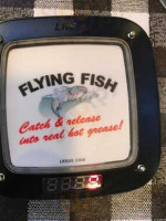 Flying Fish