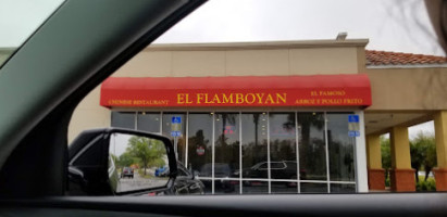 El Flamboyan