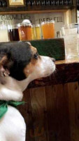 Lenny Boy Brewing Co.