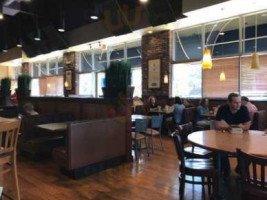 Paradise Bakery Cafe