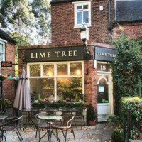 Lime Tree