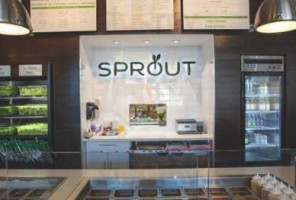 Sprout