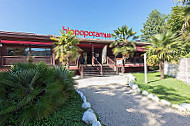 Hippopotamus Steakhouse