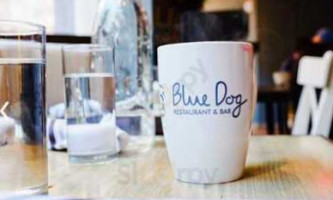 Blue Dog Kitchen 23rd Street